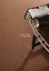Bloq Tradition Tradition 605 фото 4 | FLOORDEALER